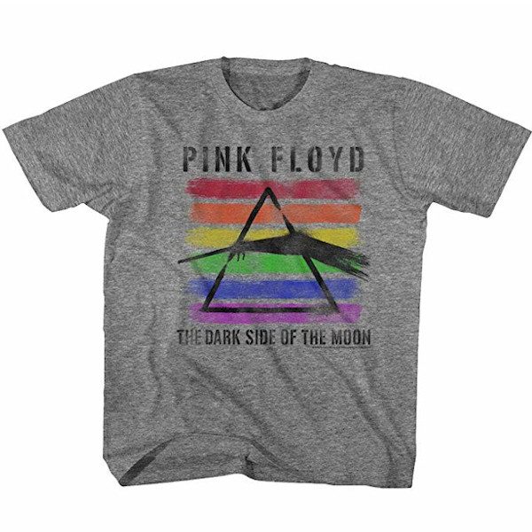 Tshirt pink floyd enfant gris